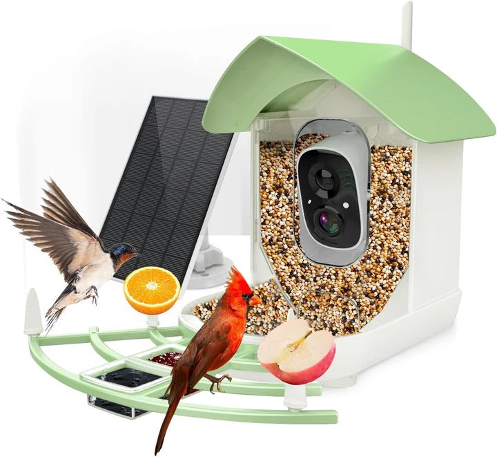 Wireless Bird Feeder with Camera and Solar Power - Ortekor