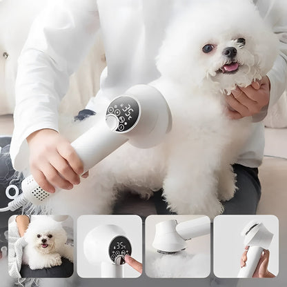 Sèche-cheveux et kit de toilettage pour chiens Fast