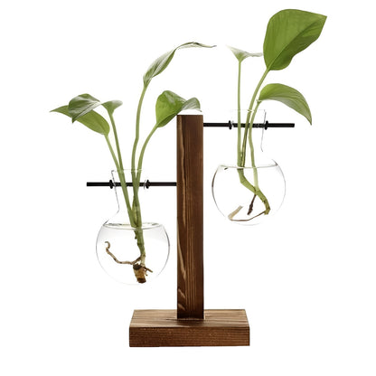 Jardinière en verre d'intérieur avec socle en bois
