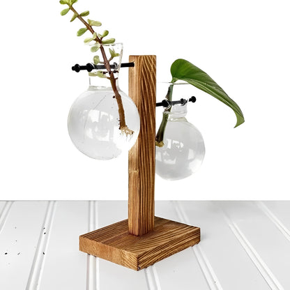 Jardinière en verre d'intérieur avec socle en bois