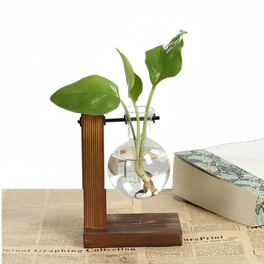Indoor Glass Planter with Wood Base - Ortekor