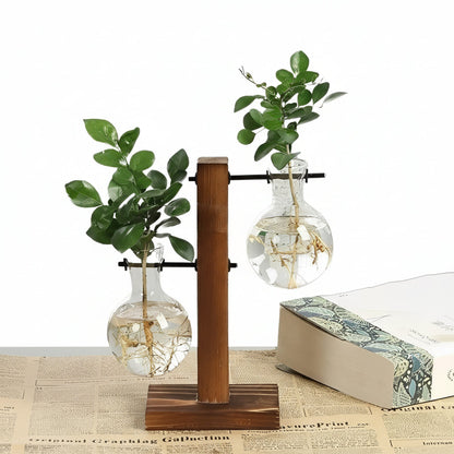 Jardinière en verre d'intérieur avec socle en bois