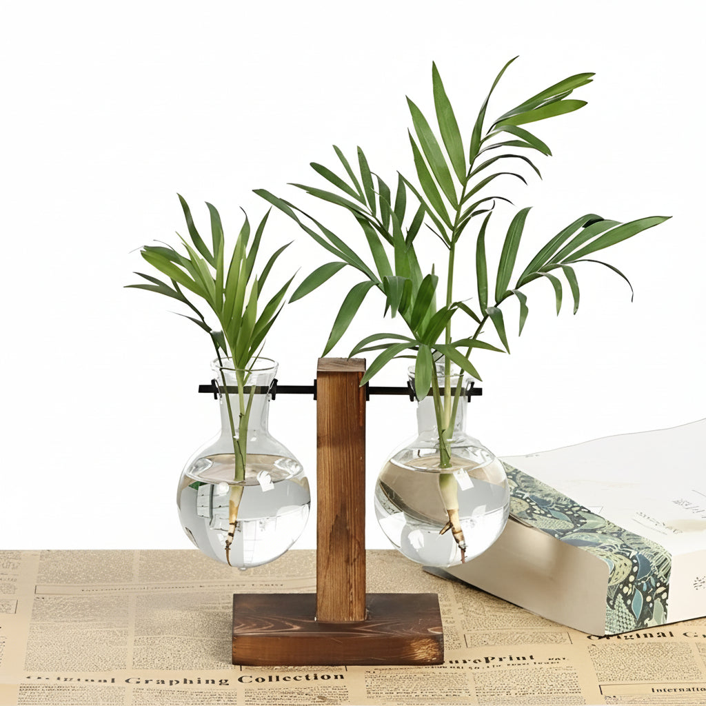 Jardinière en verre d'intérieur avec socle en bois