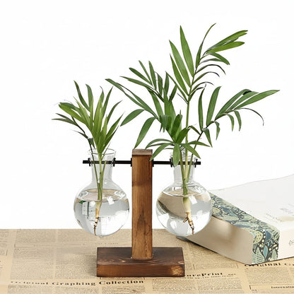 Jardinière en verre d'intérieur avec socle en bois