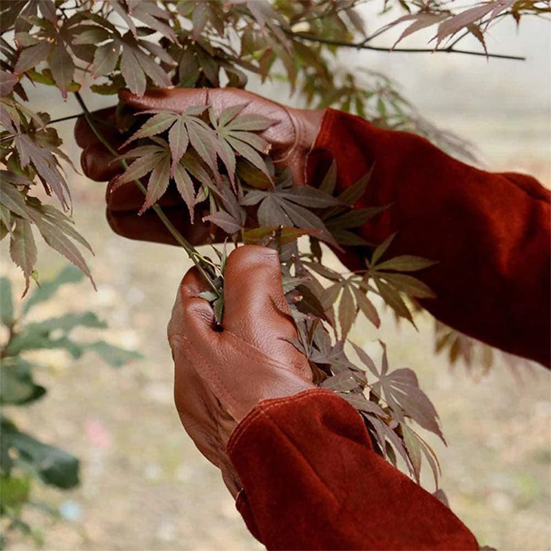 Gants de jardinage résistants pour les travaux de jardin