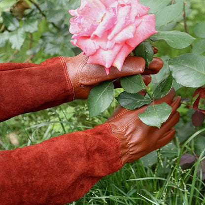 Gants de jardinage résistants pour les travaux de jardin