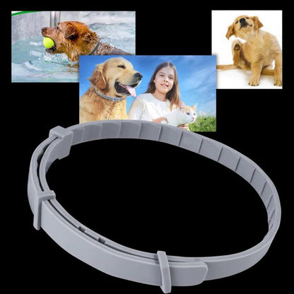 Collier anti-tiques et puces efficace pour animaux de compagnie