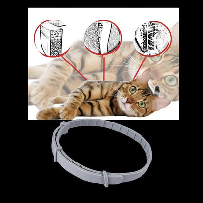 Collier anti-tiques et puces efficace pour animaux de compagnie