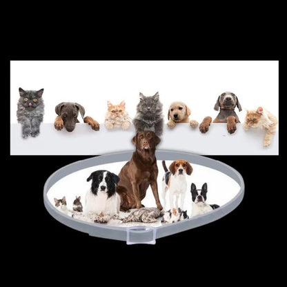 Collier anti-tiques et puces efficace pour animaux de compagnie