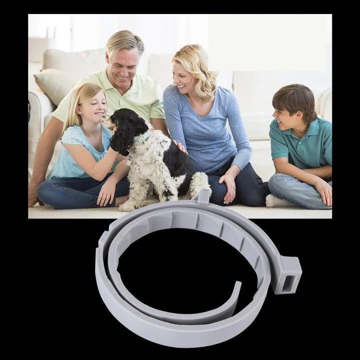 Collier anti-tiques et puces efficace pour animaux de compagnie