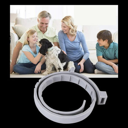 Collier anti-tiques et puces efficace pour animaux de compagnie
