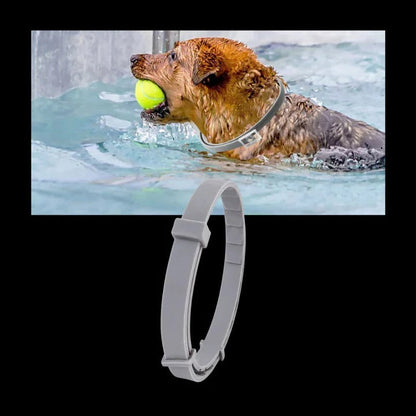Collier anti-tiques et puces efficace pour animaux de compagnie