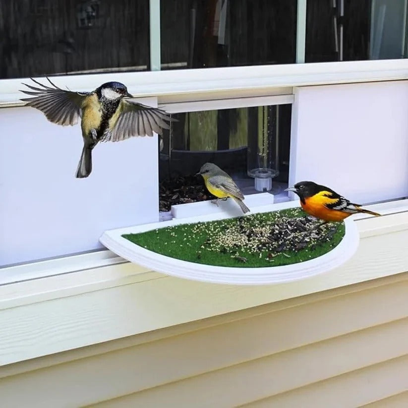 Mangeoire à oiseaux facile à suspendre avec ventouse puissante