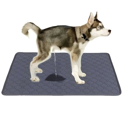 Alèses d'apprentissage pour chiots pour les petits accidents de votre chien à l'intérieur