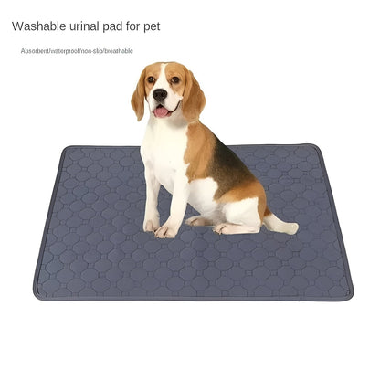 Alèses d'apprentissage pour chiots pour les petits accidents de votre chien à l'intérieur