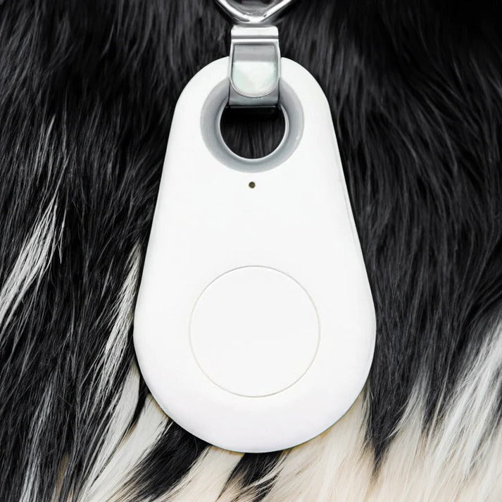 Bluetooth Pet Locator Tag for Dogs & Cats – Waterproof GPS Finder with Proximity Alerts, Safe Zone Notifications & Real-Time Tracking App