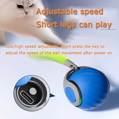 Jouet Interactif Automatique pour Chat avec Plume, Lot de 2