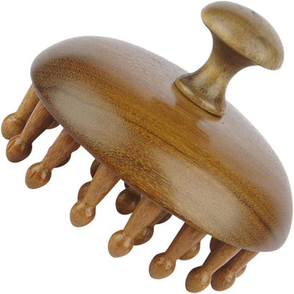 Peigne en bois avec fonctions de massage et de grattoir pour cuir chevelu