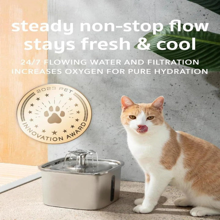 Fontaine à eau silencieuse pour animaux de compagnie avec bol en acier inoxydable