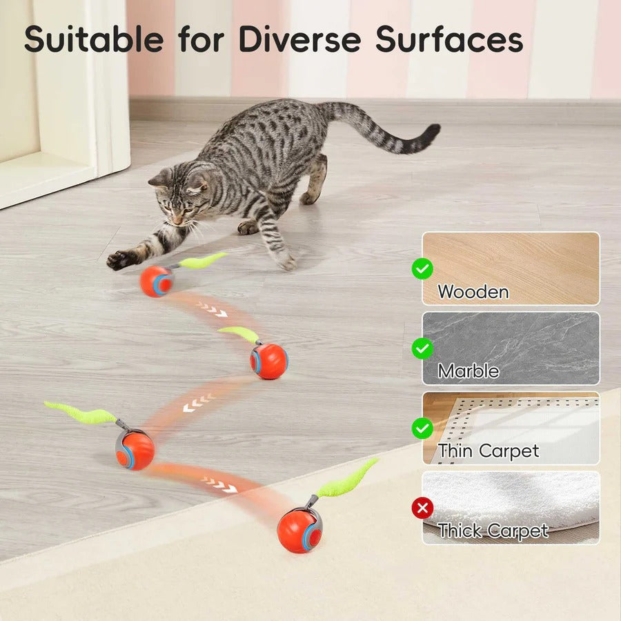 Jouet Interactif Automatique pour Chat avec Plume, Lot de 2