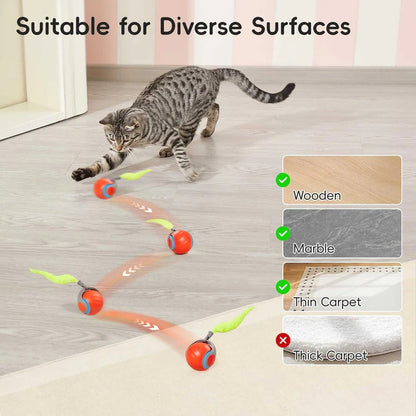 Jouet Interactif Automatique pour Chat avec Plume, Lot de 2