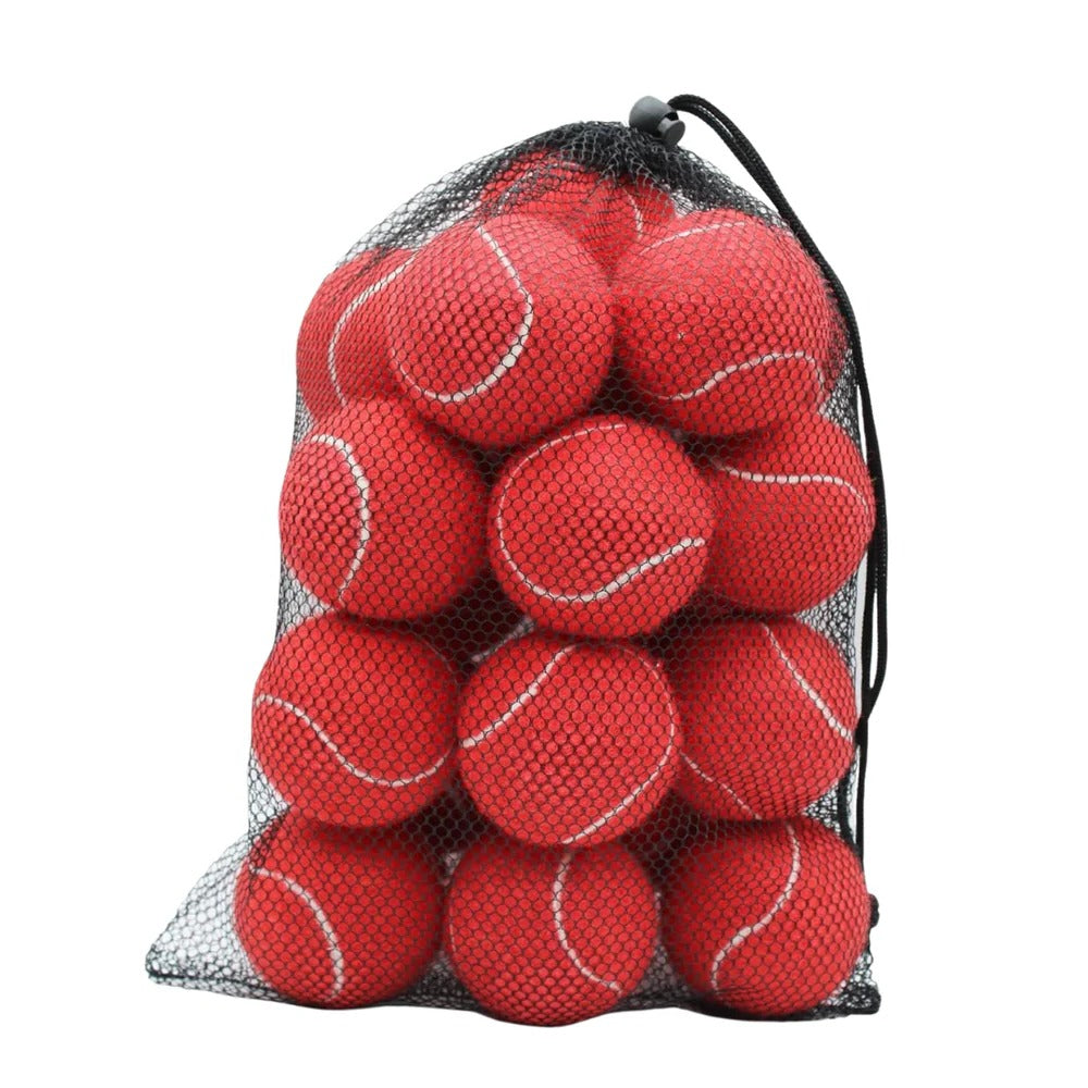 Balles de tennis de qualité supérieure, lot de 20 avec filet de transport