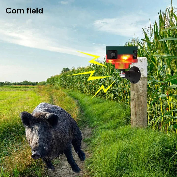 Répulsif animal extérieur à détection de mouvement et large couverture