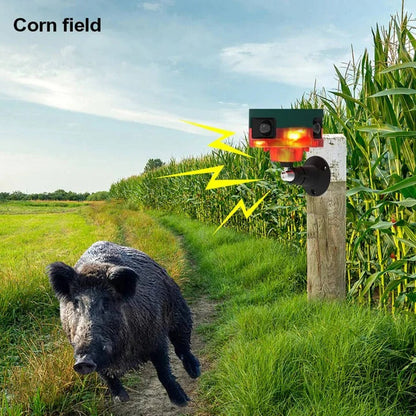 Répulsif animal extérieur à détection de mouvement et large couverture