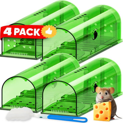Pièges à souris Easy Catch, lot de 4