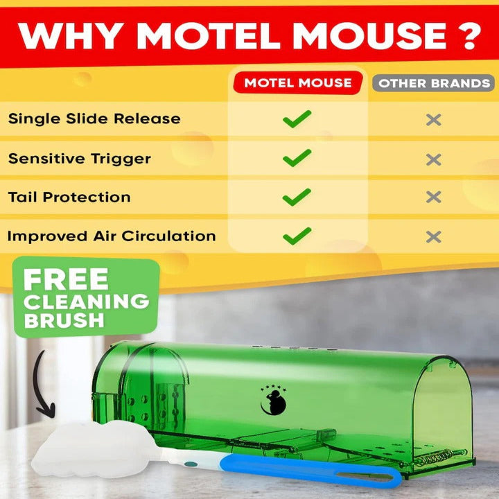 Pièges à souris Easy Catch, lot de 4