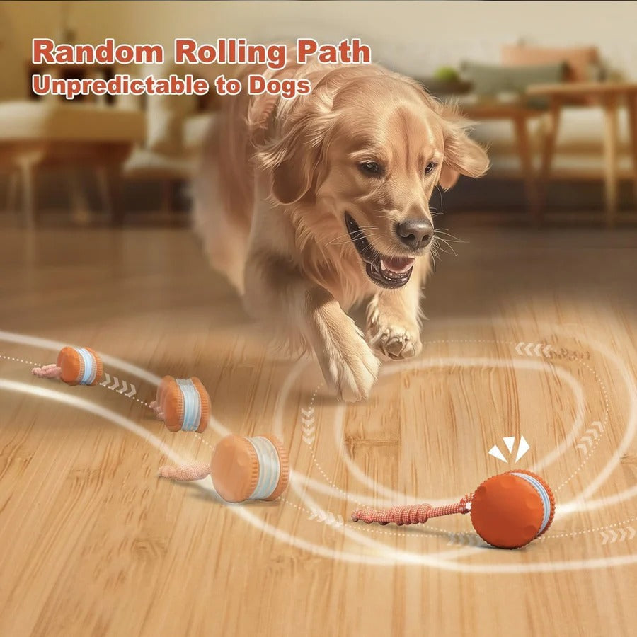 Balle de jouet interactive pour chien avec corde, lot de 2
