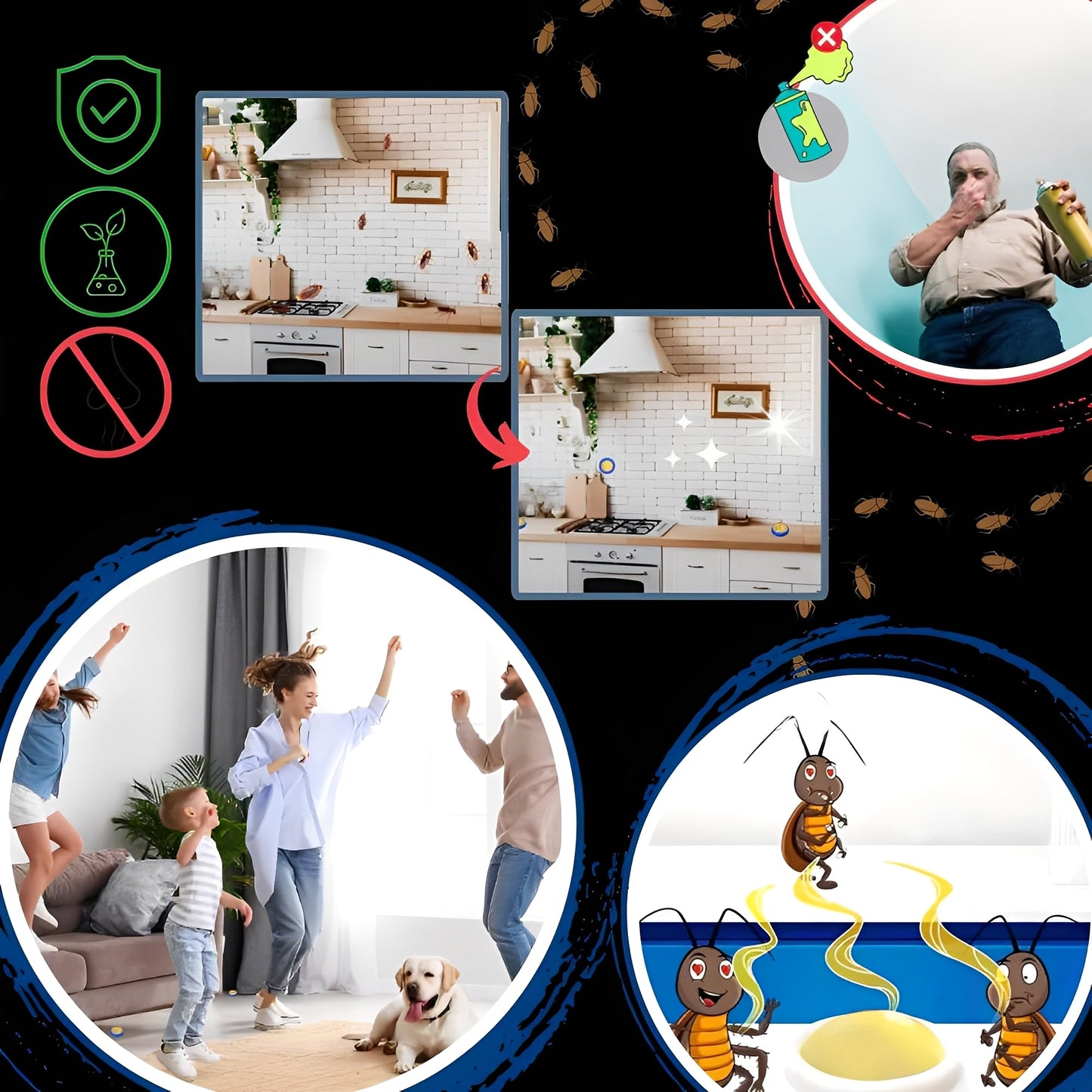 Piège à cafards efficace pour la maison avec appât dissimulé