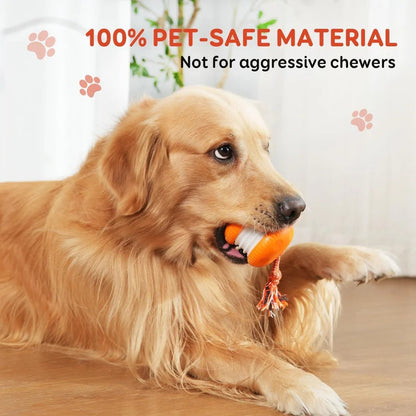 Balle de jouet interactive pour chien avec corde, lot de 2