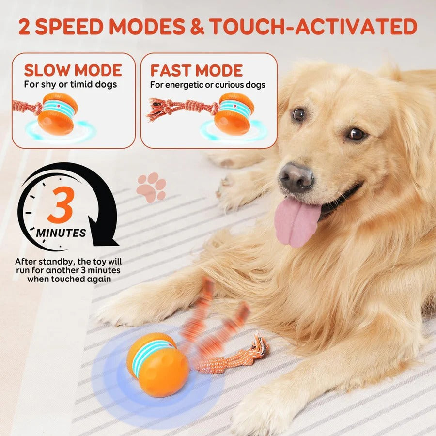 Balle de jouet interactive pour chien avec corde, lot de 2