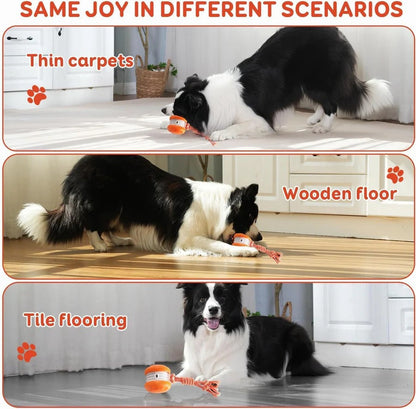 Balle de jouet interactive pour chien avec corde, lot de 2