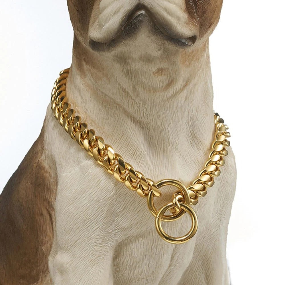 Collier chiot en métal durable, plusieurs couleurs disponibles