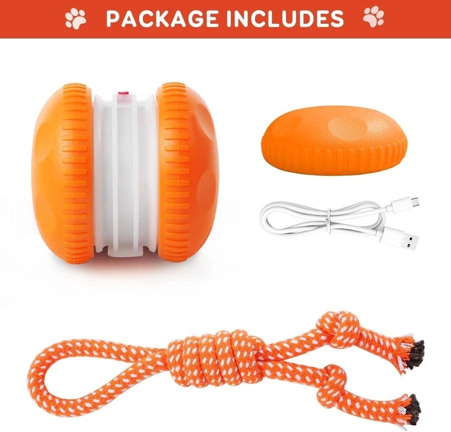 Balle de jouet interactive pour chien avec corde, lot de 2