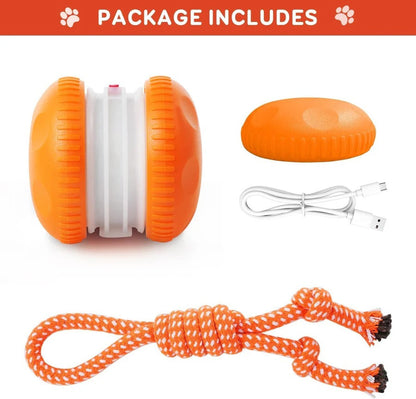 Balle de jouet interactive pour chien avec corde, lot de 2