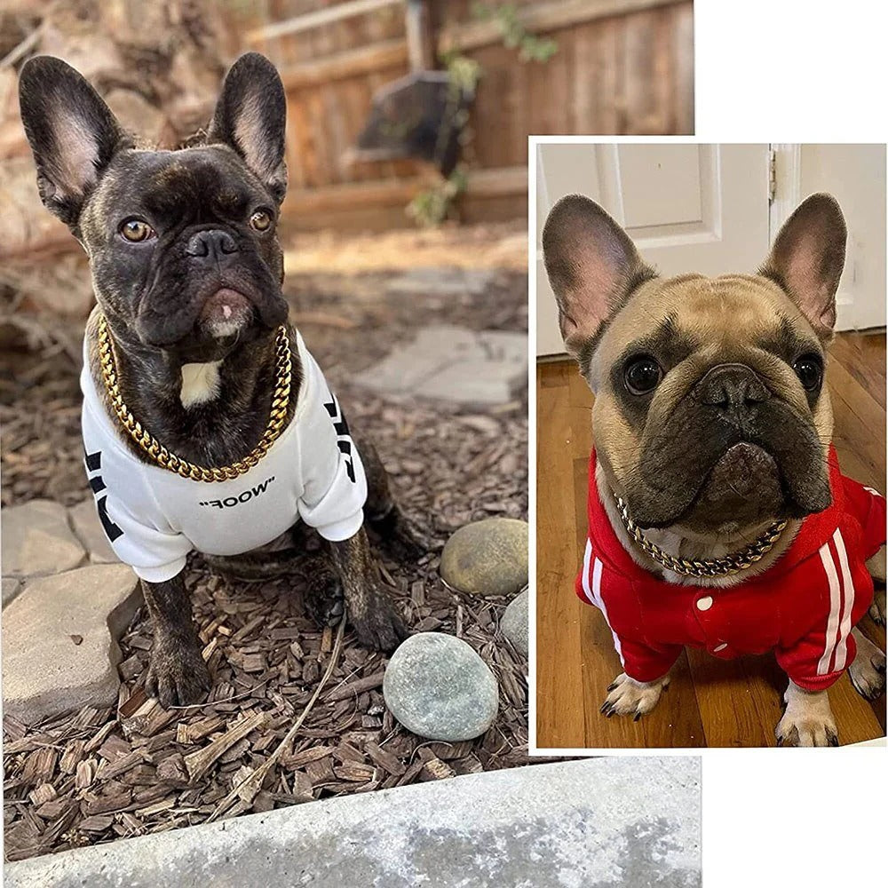 Collier chiot en métal durable, plusieurs couleurs disponibles