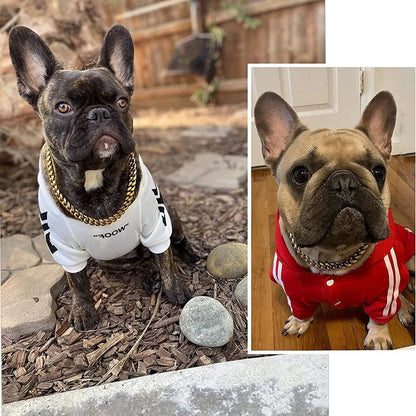 Collier chiot en métal durable, plusieurs couleurs disponibles