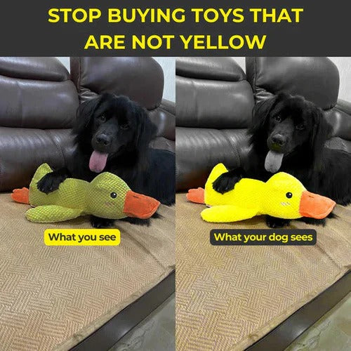 Peluche Canard Mignon Coassant