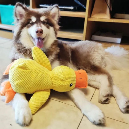 Peluche Canard Mignon Coassant