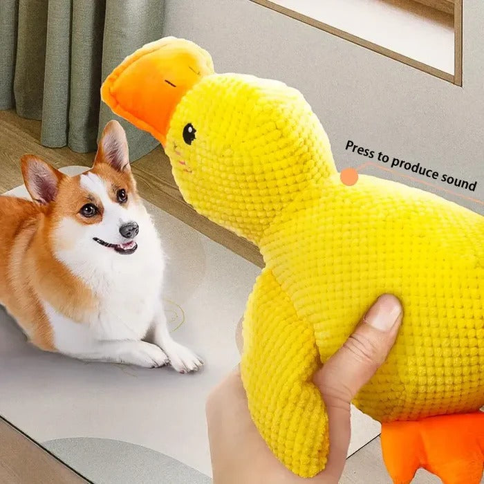 Peluche Canard Mignon Coassant
