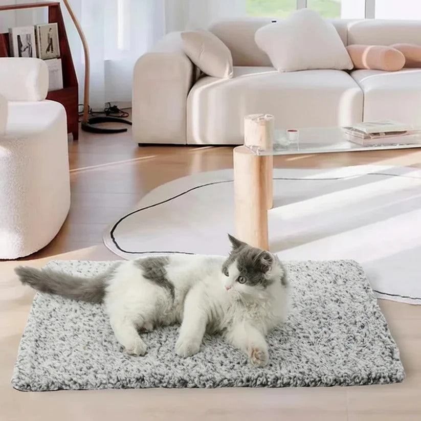 Panier thermique réutilisable pour chiens et chats