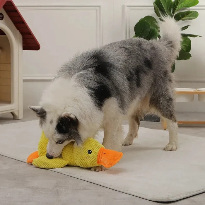 Peluche Canard Mignon Coassant