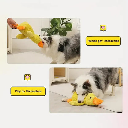 Peluche Canard Mignon Coassant