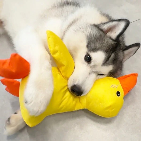 Peluche Canard Mignon Coassant