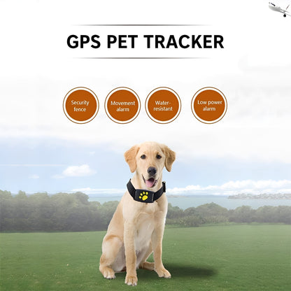 Collier traqueur GPS intelligent pour animaux de compagnie avec localisation en temps réel