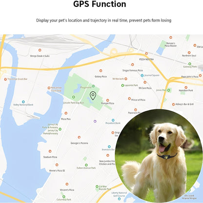 Collier traqueur GPS intelligent pour animaux de compagnie avec localisation en temps réel