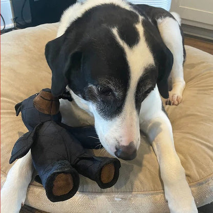 Jouet pour chien Strong Teddy Guard